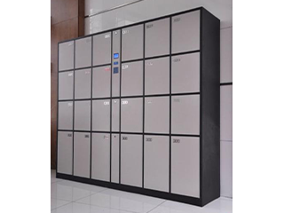 24 Fingerprint Sensory Type